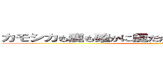 カモシカも鹿も確かに鹿だがアシカは確か鹿ではない (attack on titan)