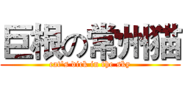巨根の常州猫 (cat's dick in the sky)