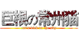 巨根の常州猫 (cat's dick in the sky)