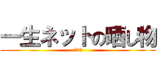 一生ネットの晒し物 (野獣先輩)