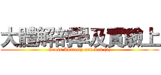 大體解剖學及實驗上 (Gross Anatomy and Lab (1))