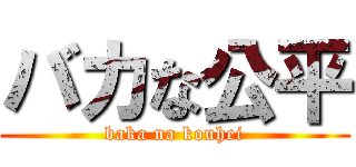 バカな公平 (baka na kouhei)