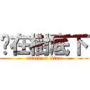 躲在樹底下 (attack on titan)