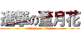 進撃の董月花 (attack on titan)