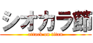 シオカラ節 (attack on titan)