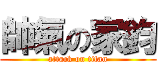 帥氣の家鈞 (attack on titan)