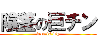 陰茎の巨チン (dick is big)