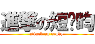 進撃の短腳昀 (attack on candy)