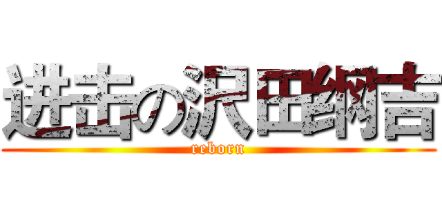 进击の沢田纲吉 (reborn)