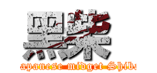 黑柴  (Japanese midget Shiba)