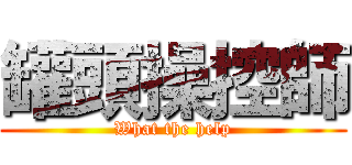 罐頭操控師 (What the help)