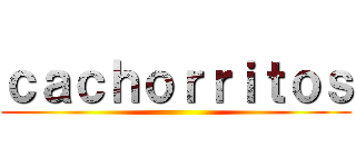 ｃａｃｈｏｒｒｉｔｏｓ ()