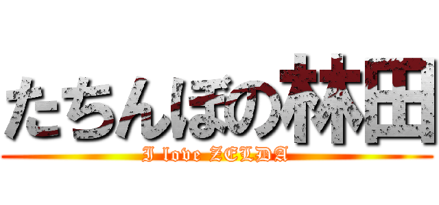 たちんぼの林田 (I love ZELDA)