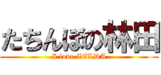 たちんぼの林田 (I love ZELDA)