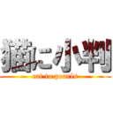 猫に小判 (cat to pearls)