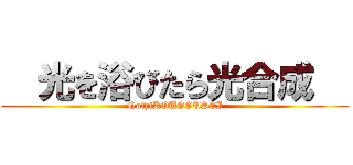   光を浴びたら光合成   (NothiKOUGOUSEI)