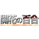 開花の百合 (attack on yuri)