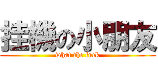 挂機の小朋友 (what the fuck)
