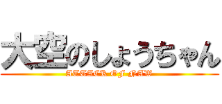 大空のしょうちゃん (ATTACK OF NAW)