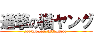 進撃の猫ヤング (youtube.com/HkLok921 )