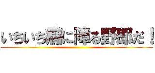 いちいち癇に障る野郎だ！ ()