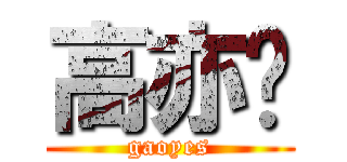 高亦书 (gaoyes)
