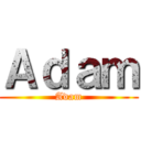 Ａｄａｍ (Adam)