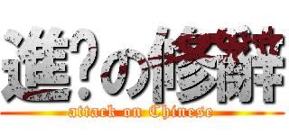 進擊の修辭 (attack on Chinese)