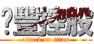 豐控股 (attack on titan)