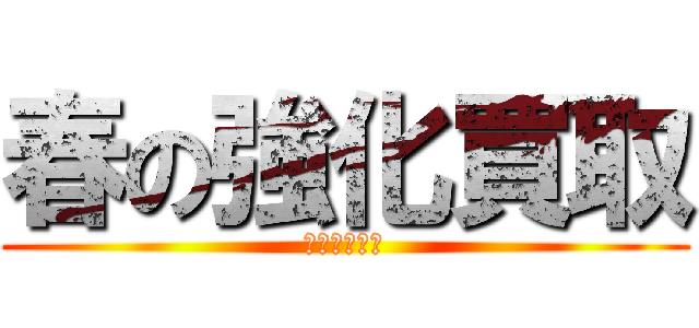 春の強化買取 (春の強化買取)