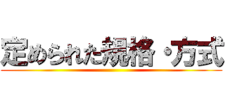 定められた規格・方式 ()