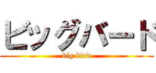 ビッグバード (big bird)