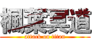 楓葉冥道 (attack on titan)