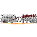 進擊の神貓 (attack on titan)