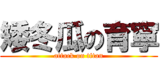 矮冬瓜の育寧 (attack on titan)