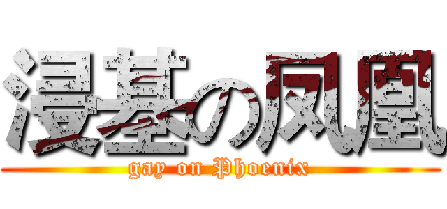 浸基の凤凰 (gay on Phoenix)