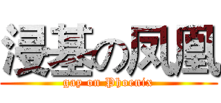 浸基の凤凰 (gay on Phoenix)
