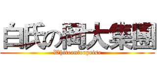 白氏の岡大集團 (Whiteenterprise)