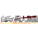 白氏の岡大集團 (Whiteenterprise)