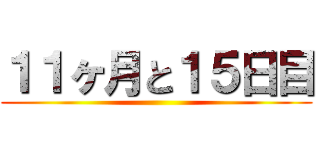 １１ヶ月と１５日目 ()