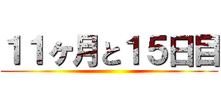 １１ヶ月と１５日目 ()