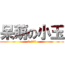 呆萌の小玉 (0.0の玉)