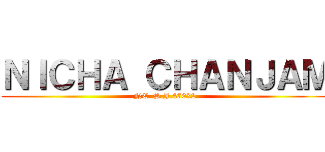 ＮＩＣＨＡ ＣＨＡＮＪＡＭ (NE  S.J.47032)