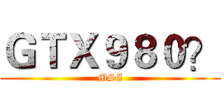 ＧＴＸ９８０？ (MSI)