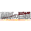 藤原の巨根 (Big root of Fujiwara)