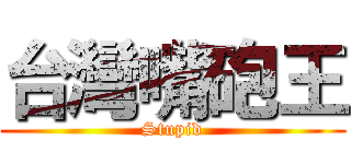 台灣嘴砲王 (Stupid)