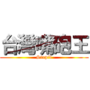台灣嘴砲王 (Stupid)