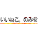 いいねこ。のみせ (iineko.nomise)