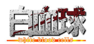 白血球 (white blood cells)