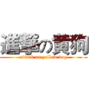 進撃の黄狗 (attack on yellow dog)